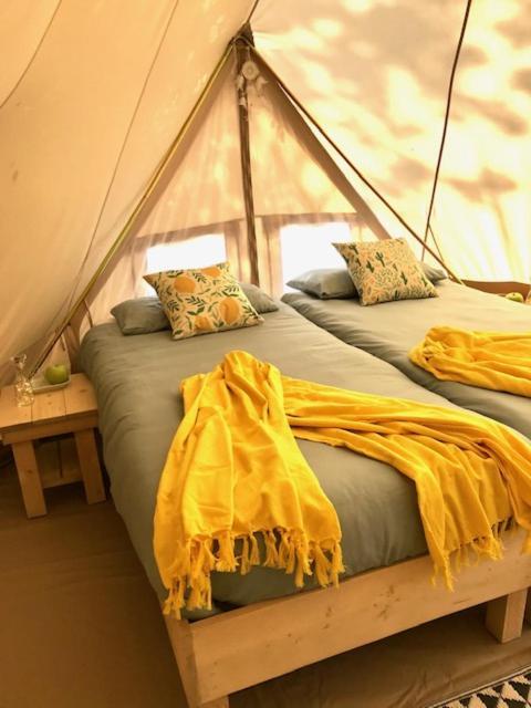 Glamping Solaria Isolabona Buitenkant foto