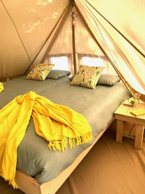 Glamping Solaria Isolabona Buitenkant foto